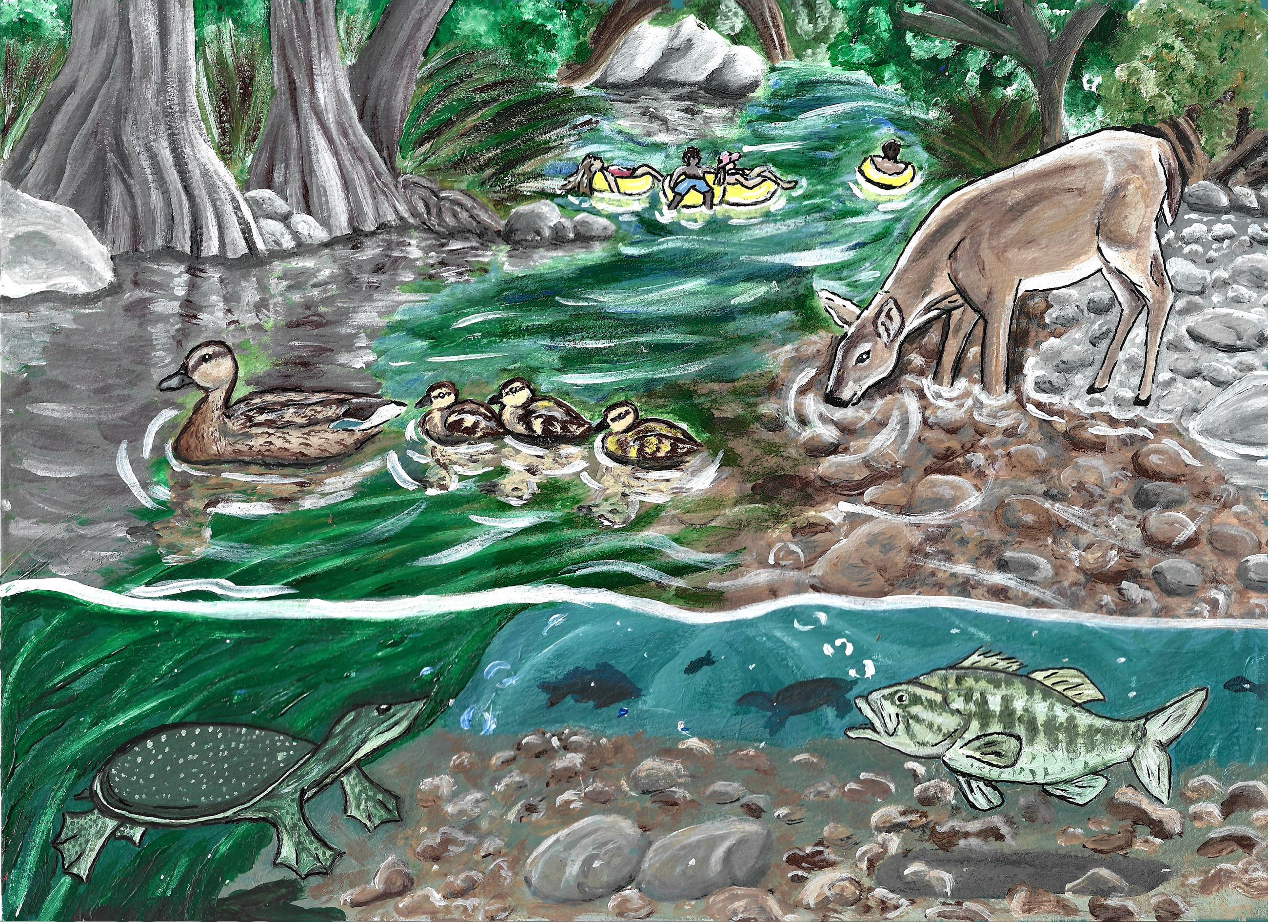 Samantha Posada Submission