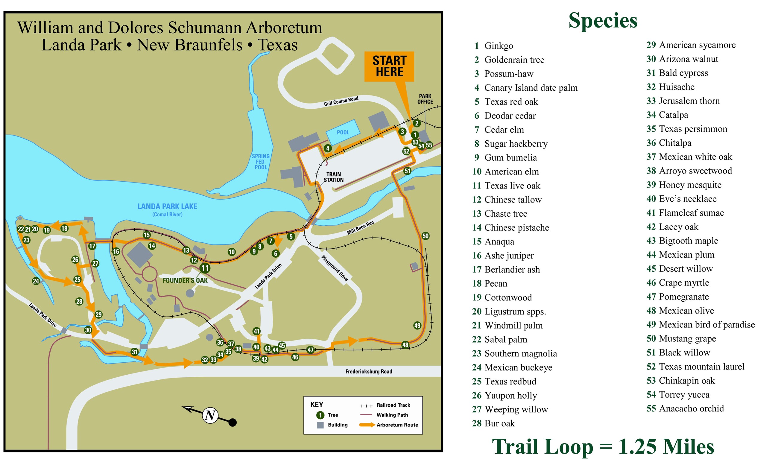 Arboretum Trail Map.jpg